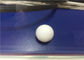 La plastica bianca modellata parte il teflon/palle di plastica solide di Ptfe colorate su misura