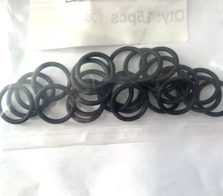 FKM Teflon O-Ring O-Ring Seal sigillo chimico ad alta temperatura