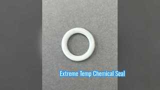 Guarnizione chimica per alte temperature con O-Ring in FKM PTFE