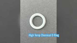 Guarnizione chimica per alte temperature con O-Ring in FKM PTFE